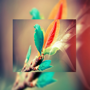 爆乳阿姨三级片
